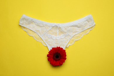 Photo of Woman's panties and red gerbera flower on yellow background, top view