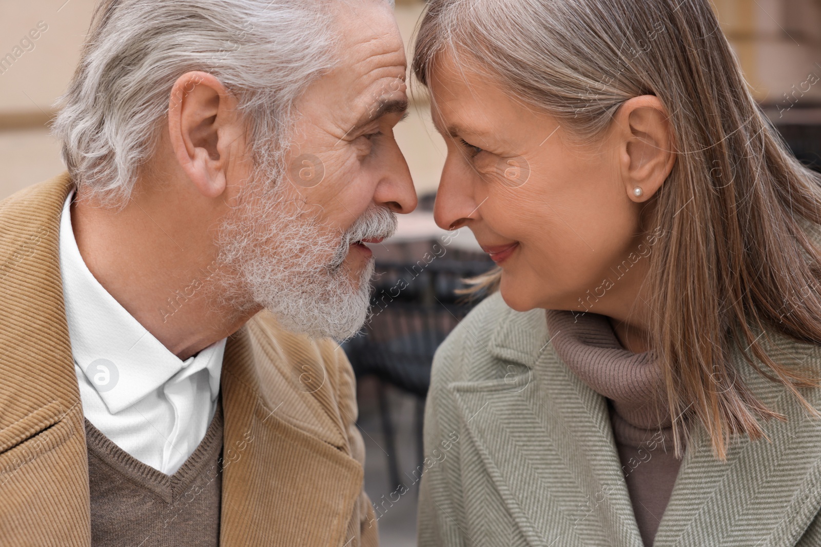 Photo of Portrait of stylish affectionate senior couple outdoors