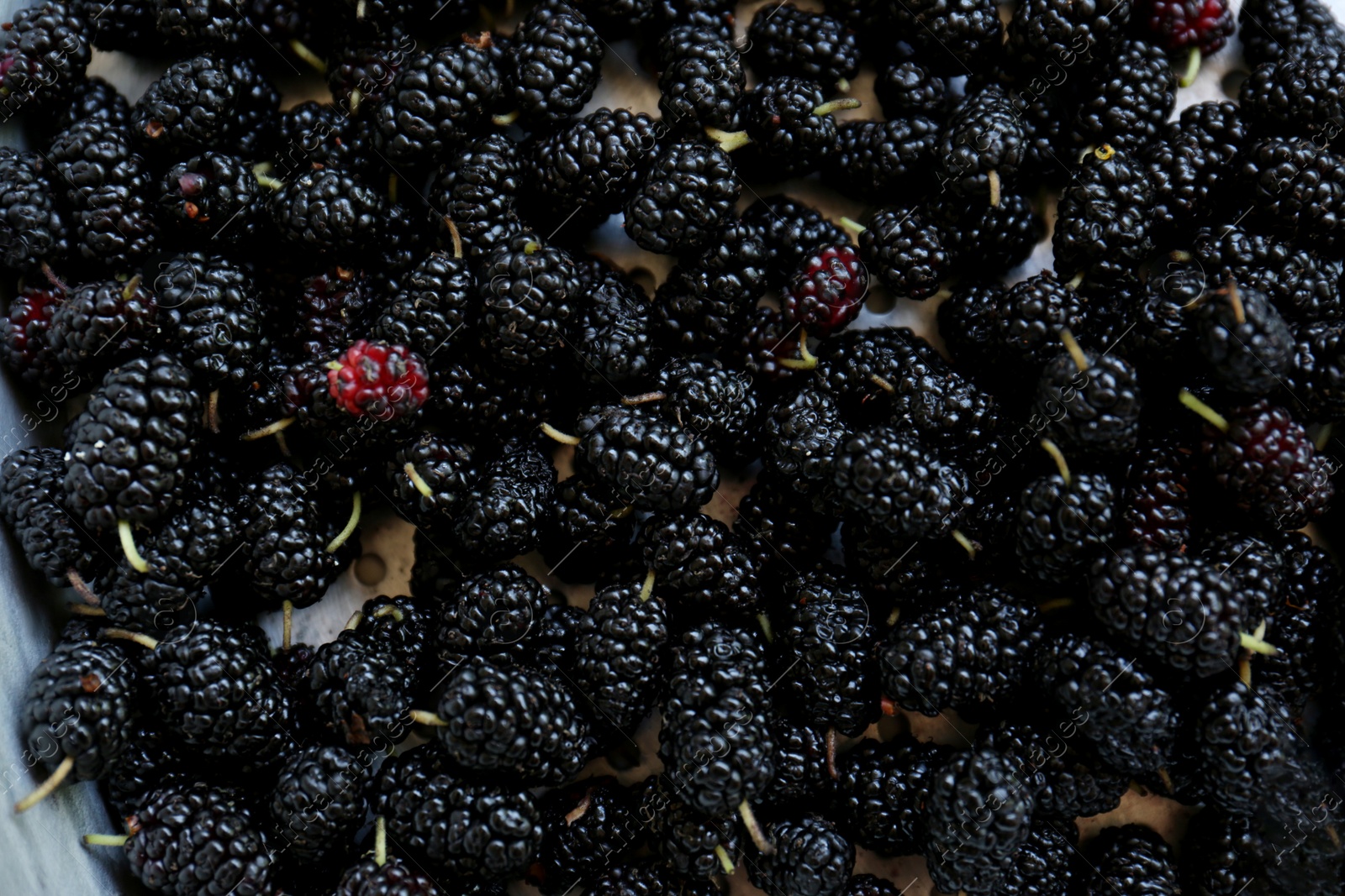 Photo of Heap of delicious ripe black mulberries in colander, top view