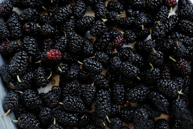 Photo of Heap of delicious ripe black mulberries in colander, top view