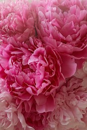 Photo of Closeup viewbeautiful pink peony bouquet