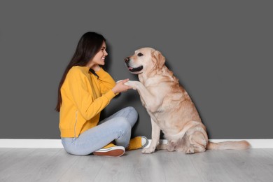 Photo of Cute Labrador Retriever giving paw to happy woman against grey wall