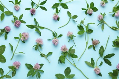 Beautiful clover flowers with green leaves on turquoise background, flat lay