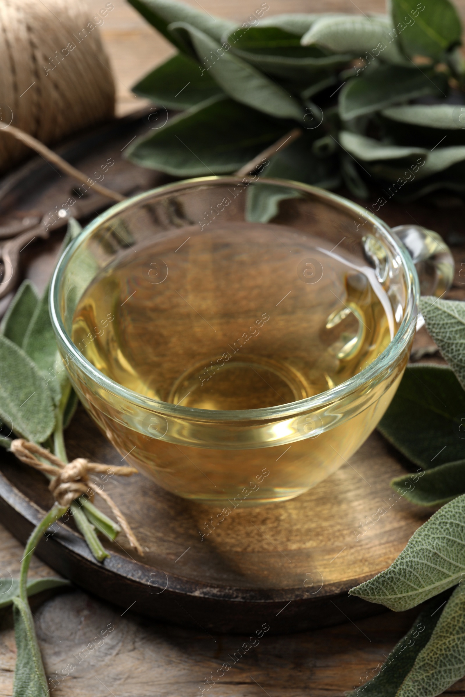 Photo of Cup of sage tea and green leaves on wooden tray, closeup