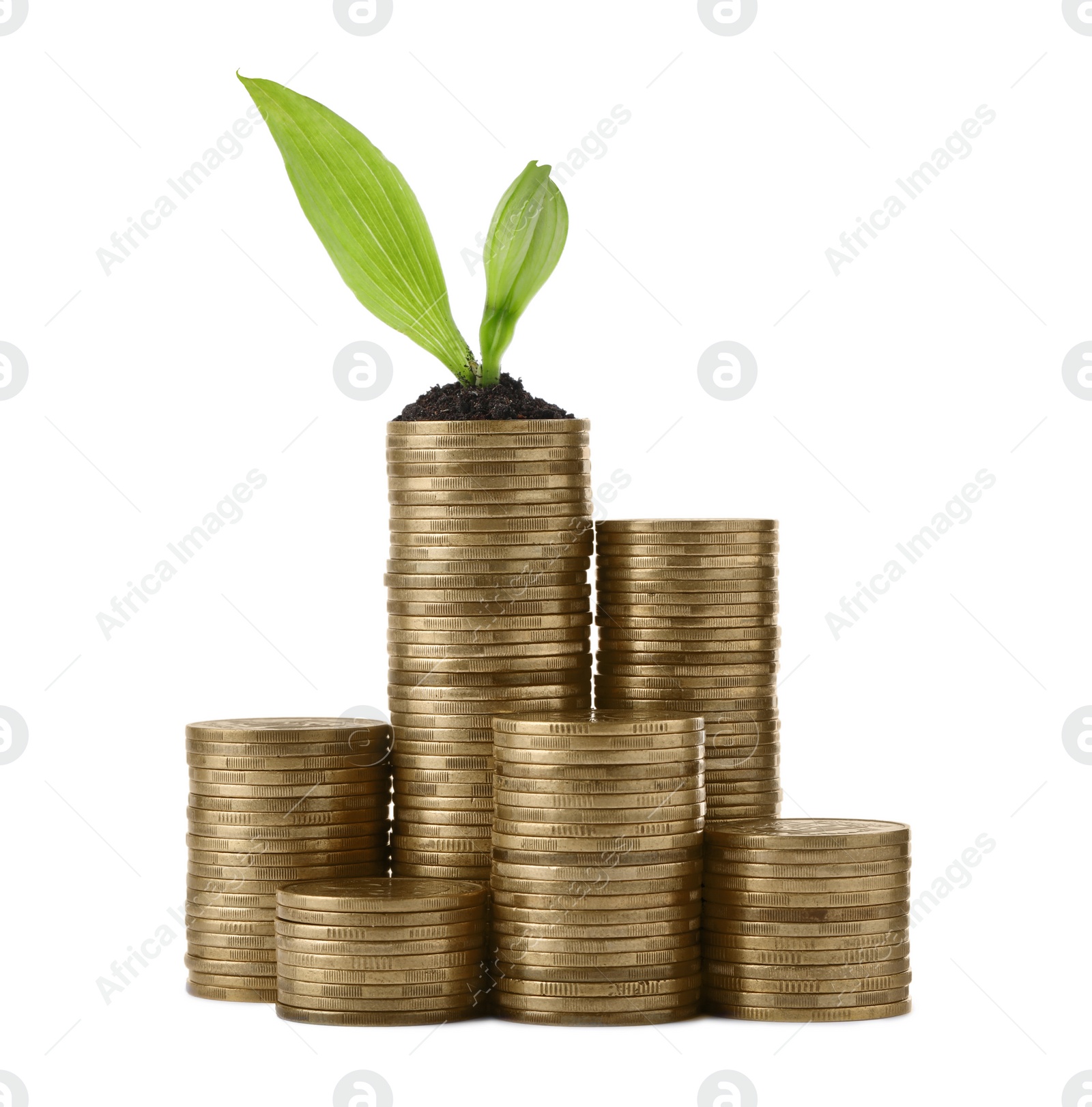 Photo of Stacks of coins and green plant on white background. Prosperous business