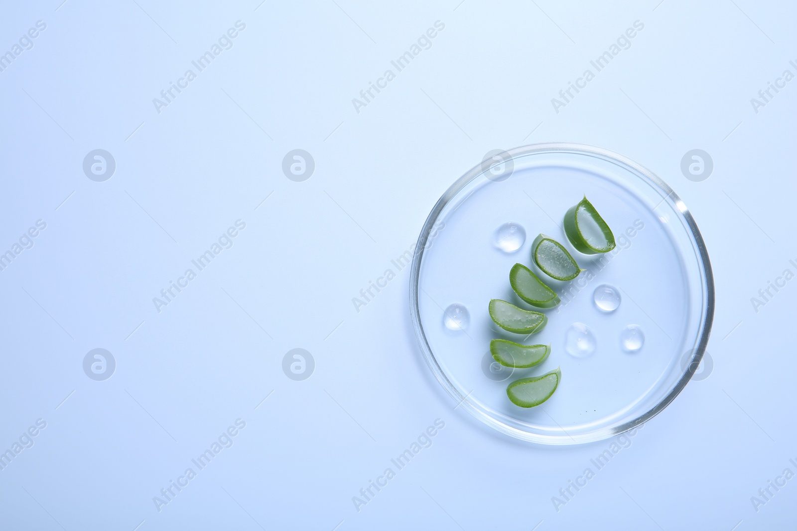 Photo of Cut aloe vera and drops of cosmetic gel on light blue background, top view. Space for text