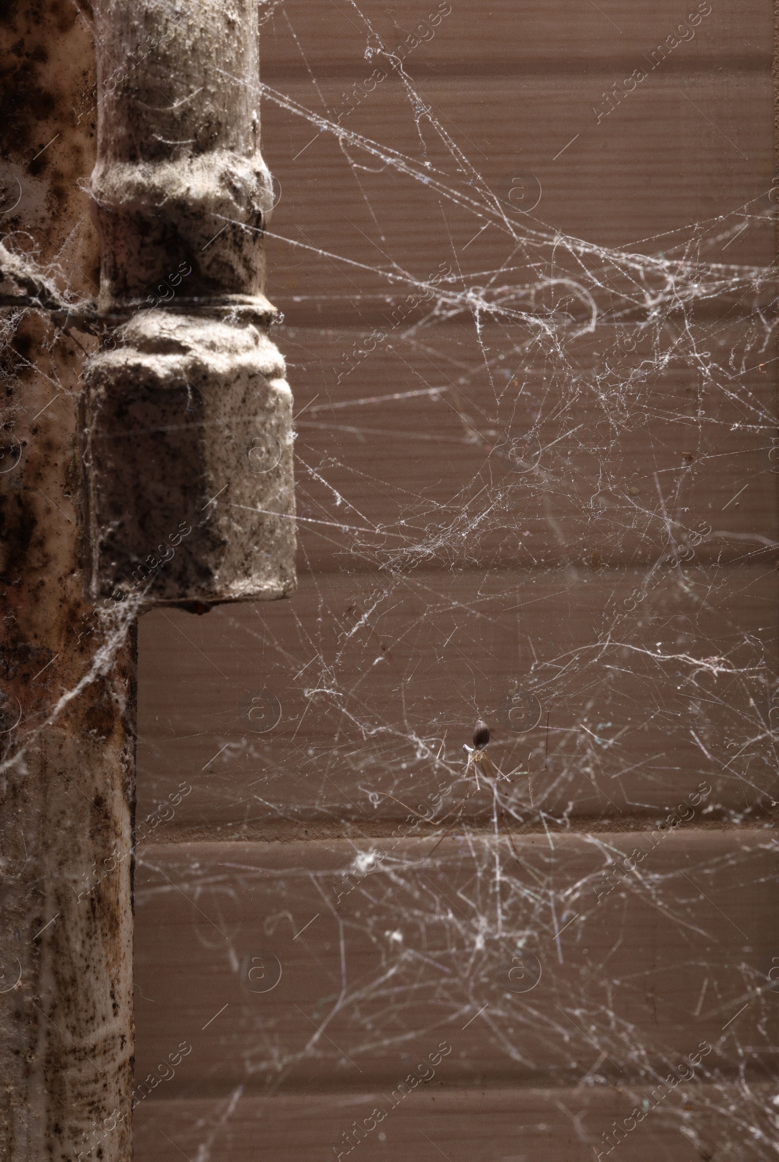 Photo of Cobweb near wall and rusty pipes of water supply indoors