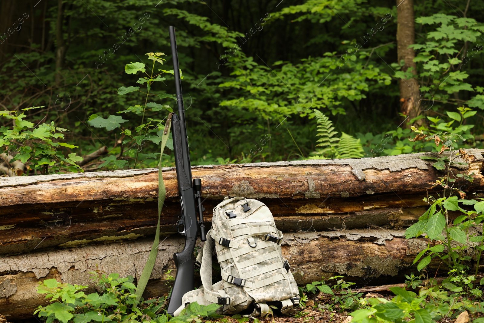 Photo of Hunting rifle and backpack near fallen tree in forest