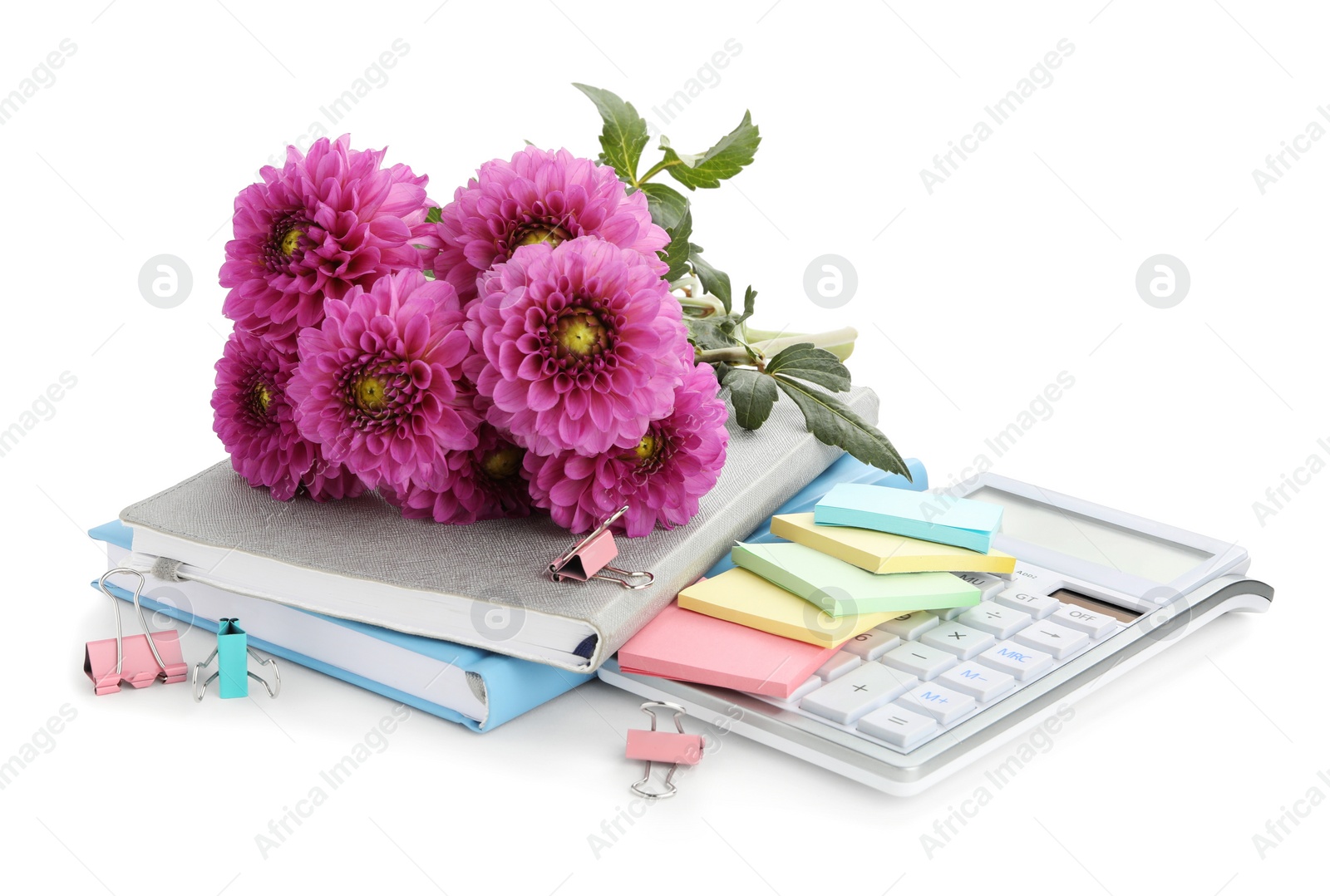 Photo of Beautiful flowers and stationery on white background. Teacher's Day