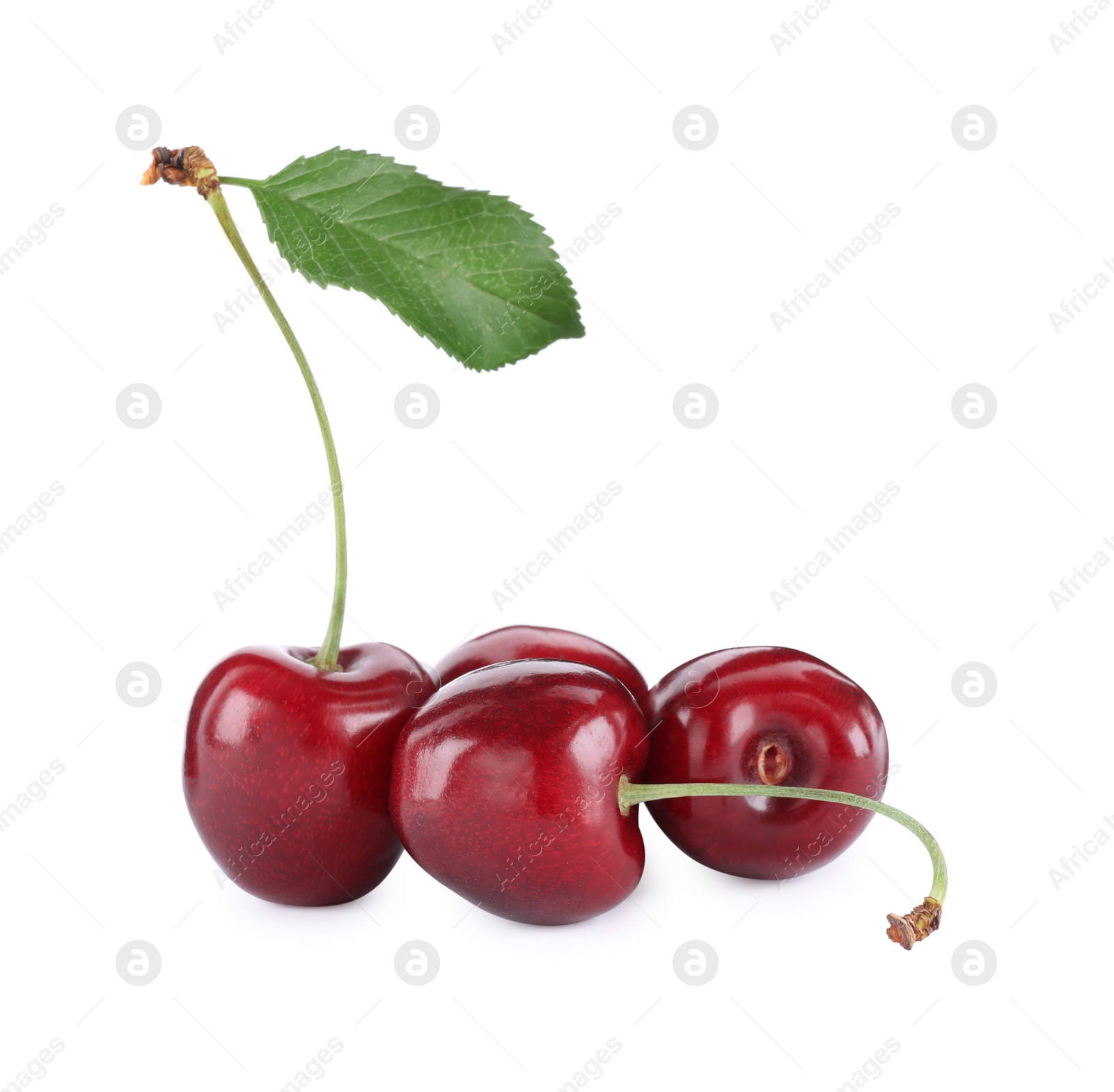 Photo of Fresh ripe sweet cherries with leaf isolated on white