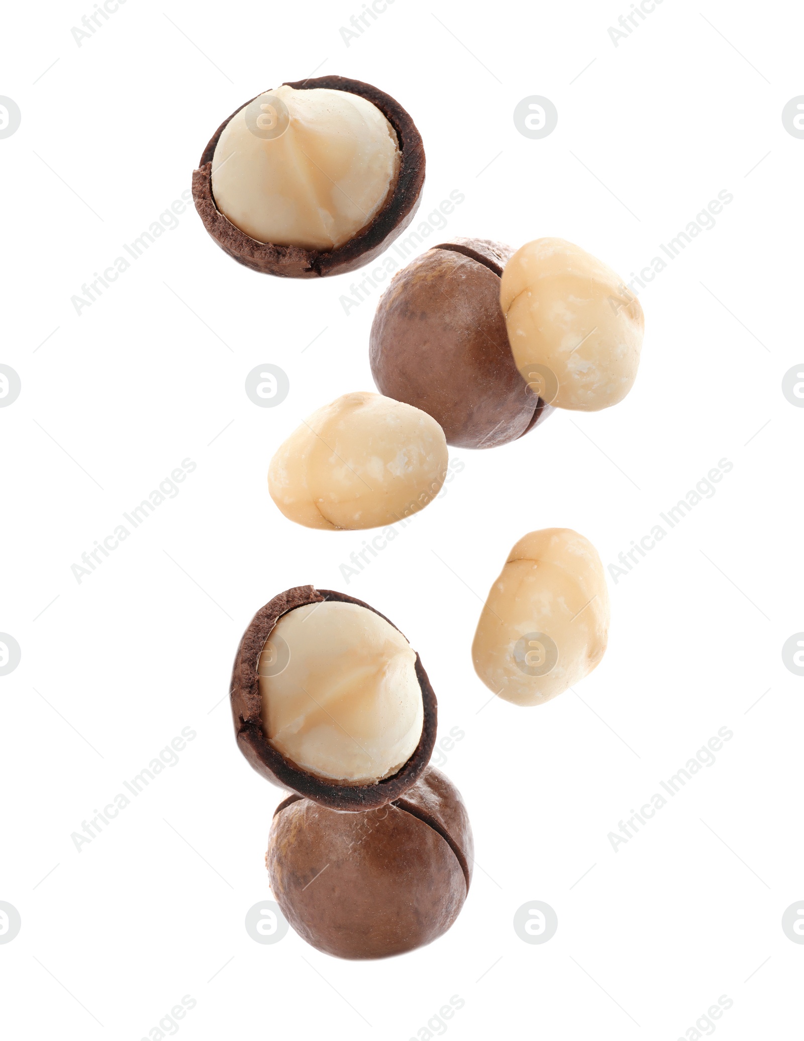 Image of Delicious Macadamia nuts falling on white background 