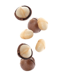 Delicious Macadamia nuts falling on white background 