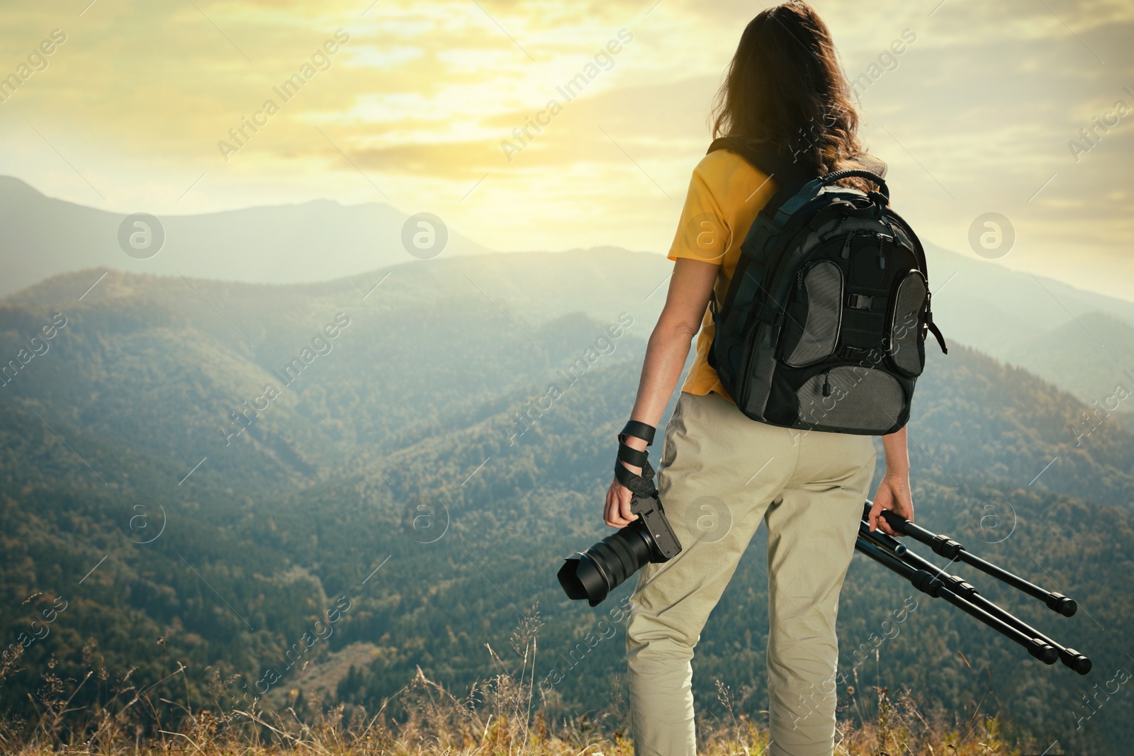 Photo of Professional photographer with modern camera and tripod in mountains, back view. Space for text