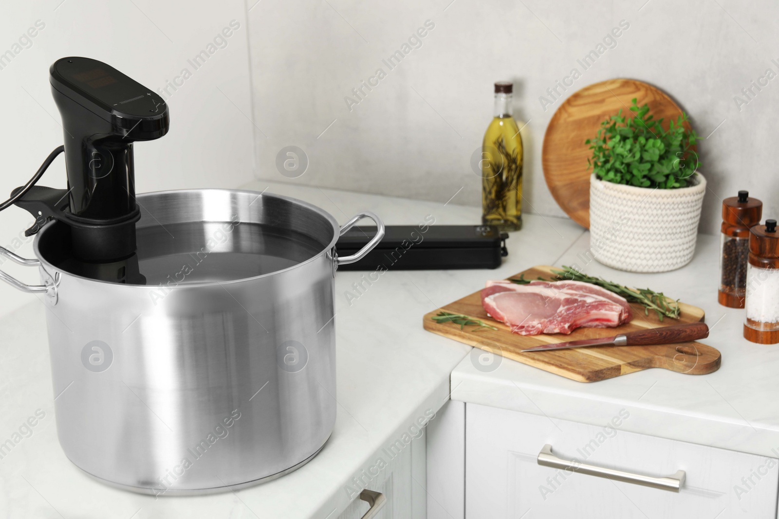 Photo of Sous vide cooker in pot and ingredients on white countertop. Thermal immersion circulator