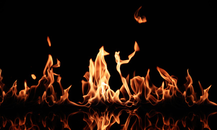 Photo of Beautiful bright fire flames on black background