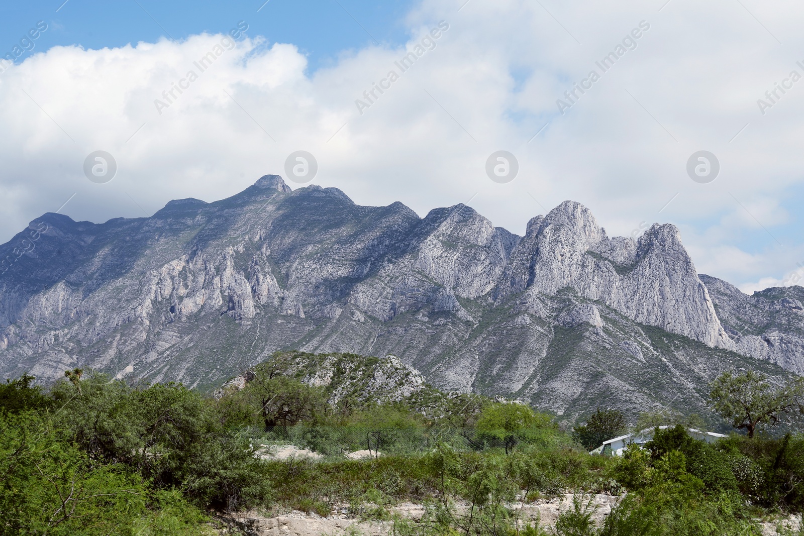 Photo of Picturesque view of beautiful mountain and trees under cloudy sky