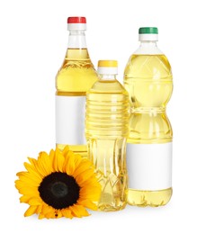 Photo of Bottles with sunflower cooking oil and yellow flower on white background