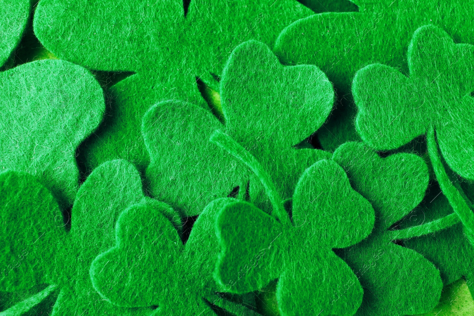 Photo of Green clover leaves as background, top view. St. Patrick's Day celebration