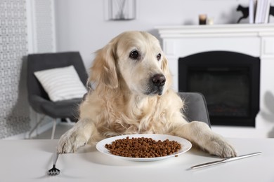 Photo of Cute retriever sitting at table near plate with food indoors