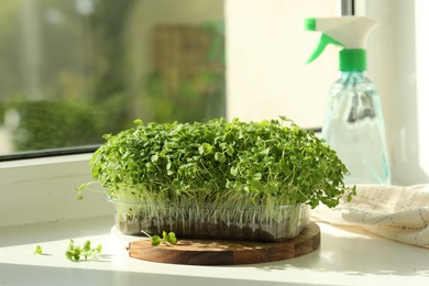 Fresh daikon radish microgreen growing in plastic container on windowsill indoors