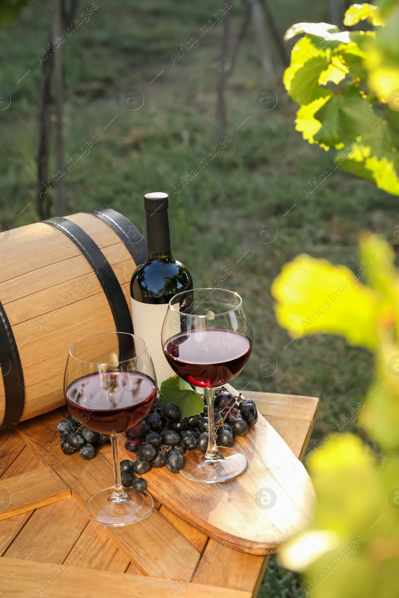 Photo of Composition with wine and ripe grapes on wooden table in vineyard