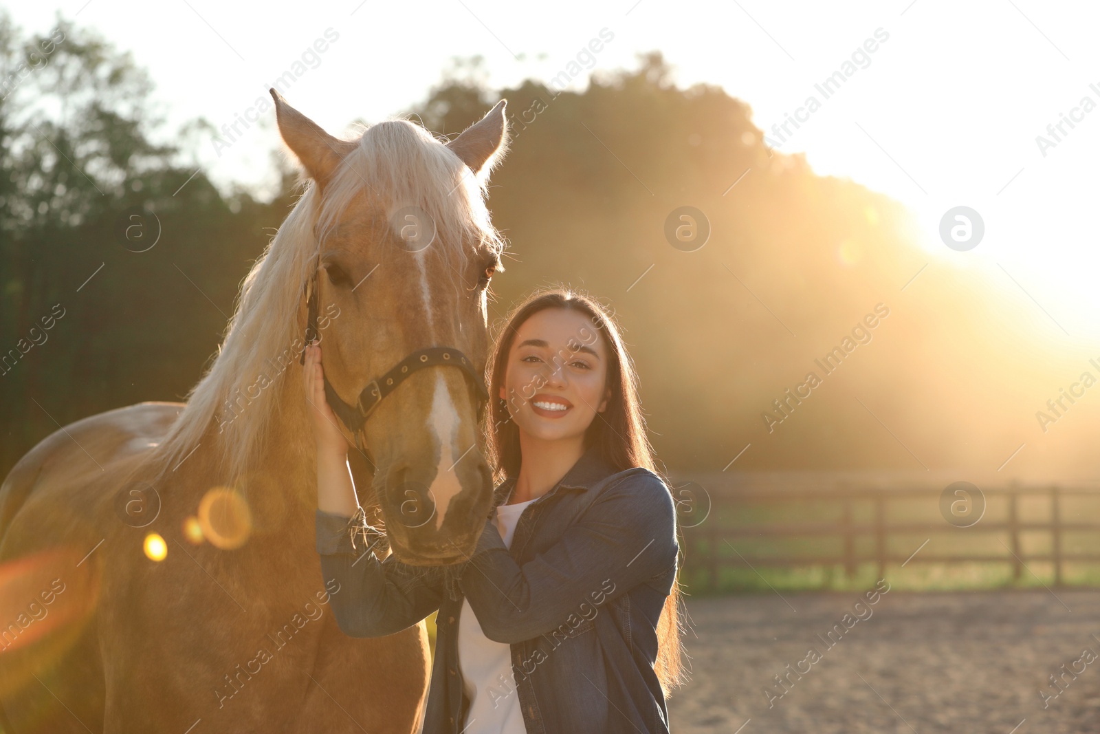 Photo of Beautiful woman with adorable horse outdoors on sunny day, space for text. Lovely domesticated pet