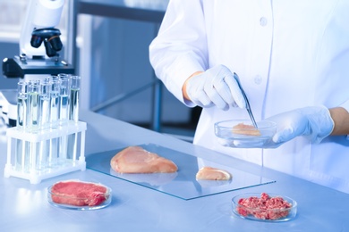 Scientist holding Petri dish with meat sample over table in laboratory