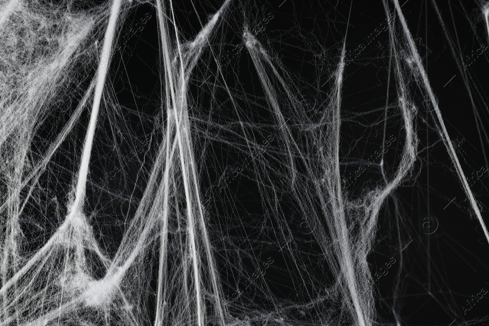 Photo of Creepy white spider web on black background