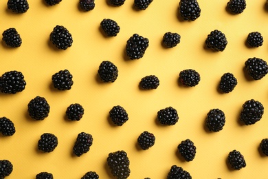 Flat lay composition with fresh blackberries on yellow background