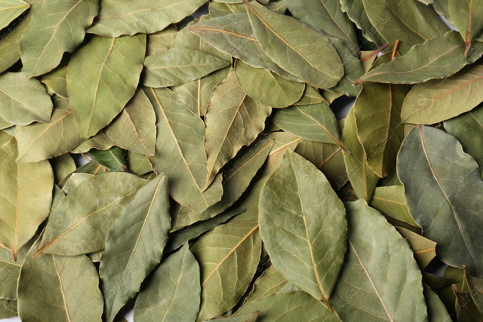 Photo of Pile of aromatic bay leaves as background, top view