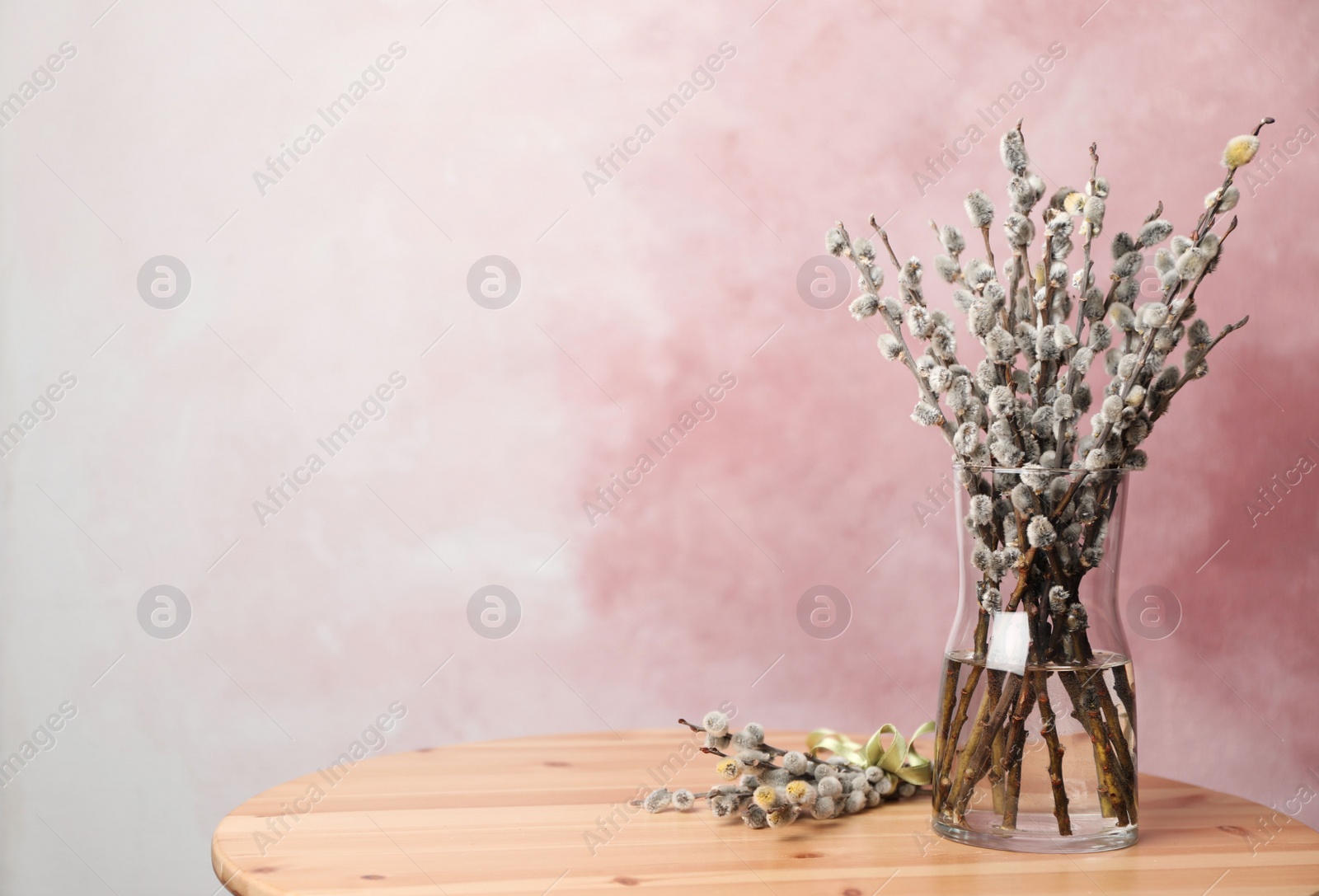 Photo of Beautiful pussy willow branches on wooden table against pink background, space for text