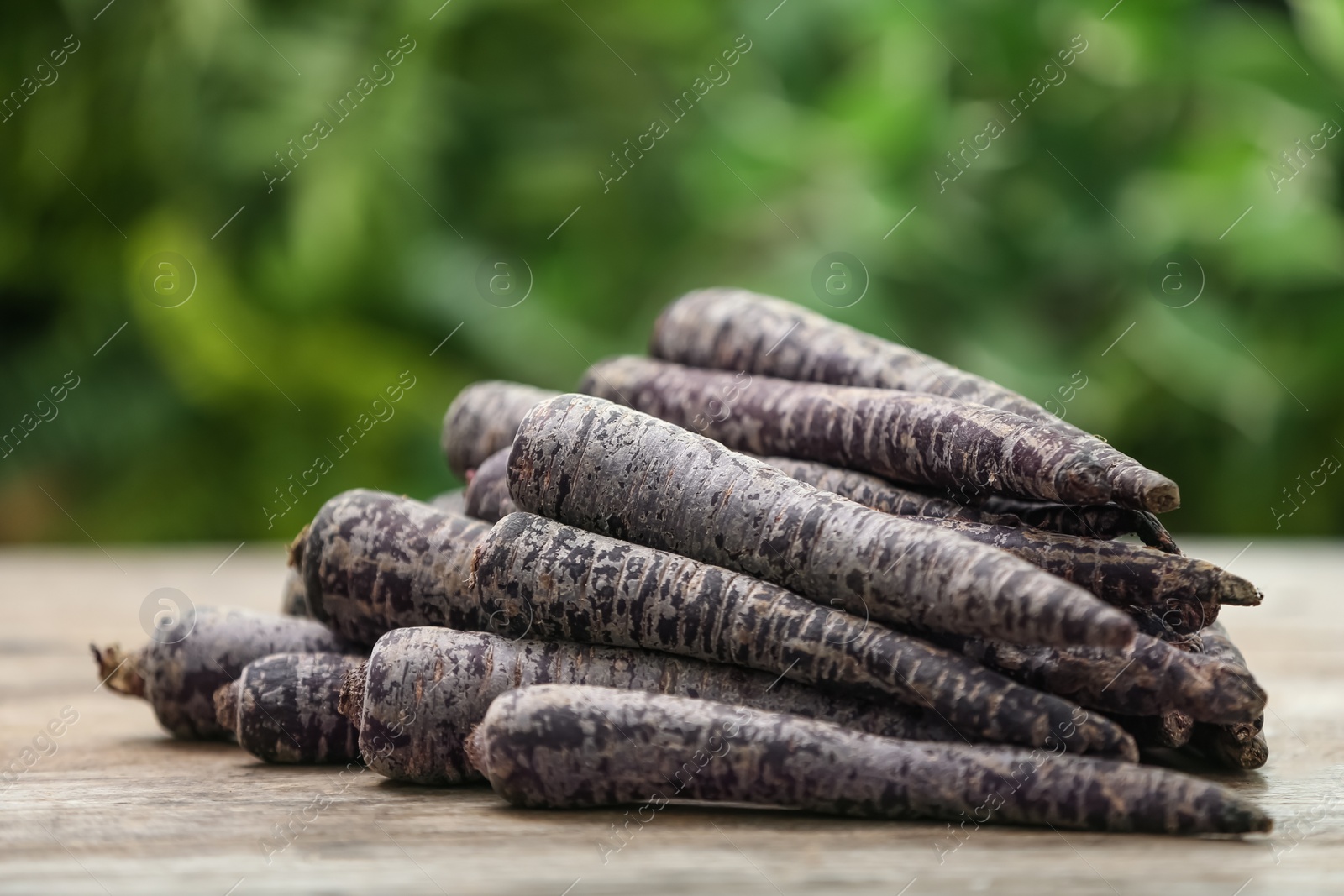 Photo of Raw black carrots on wooden table against blurred background