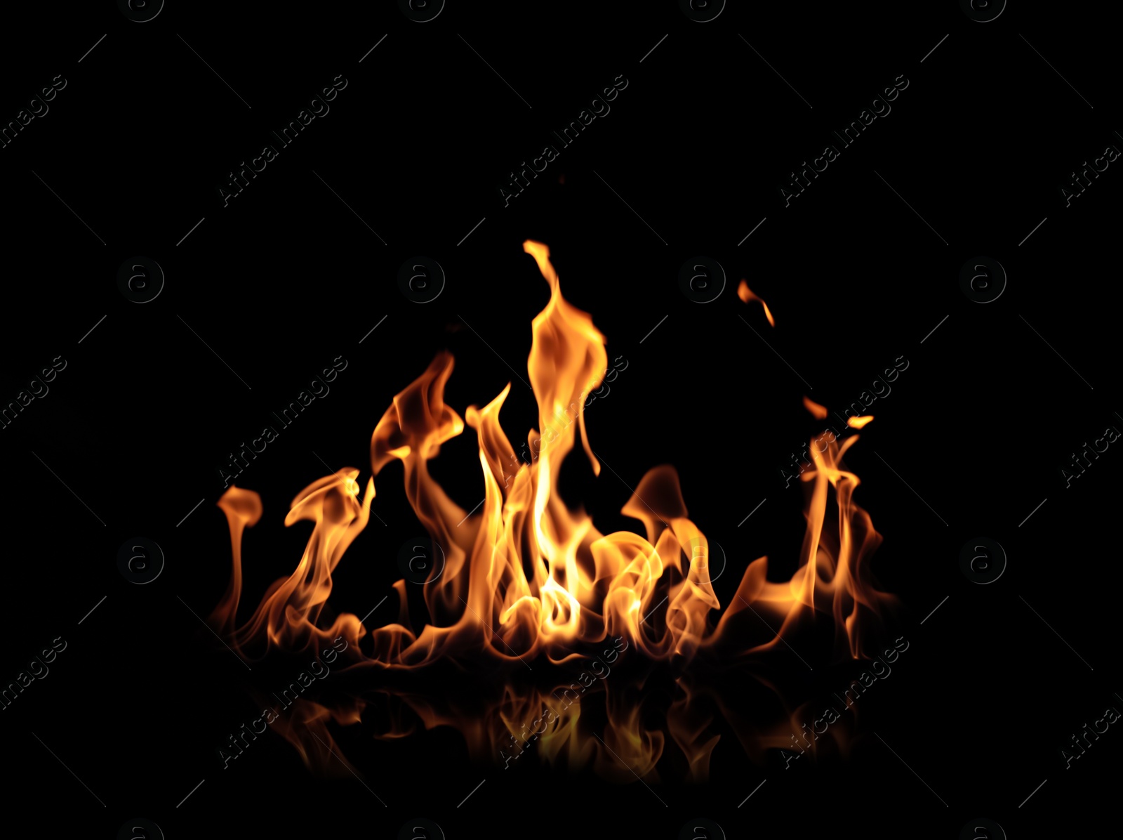 Photo of Beautiful bright fire flames on black background