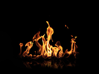 Photo of Beautiful bright fire flames on black background