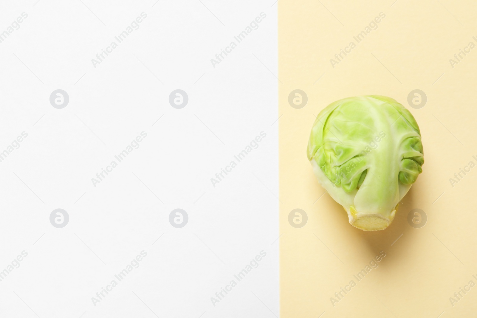 Photo of Fresh Brussels sprout on color background, top view. Space for text