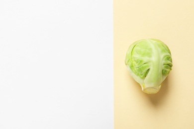 Fresh Brussels sprout on color background, top view. Space for text