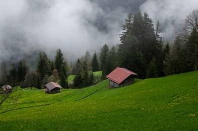Photo of Picturesque view of valley with buildings near forest covered by fog