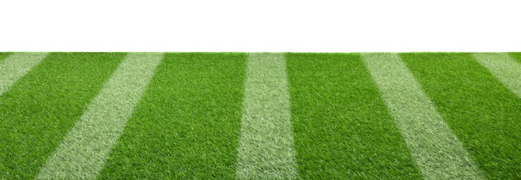 Image of Green grass with markings on white background