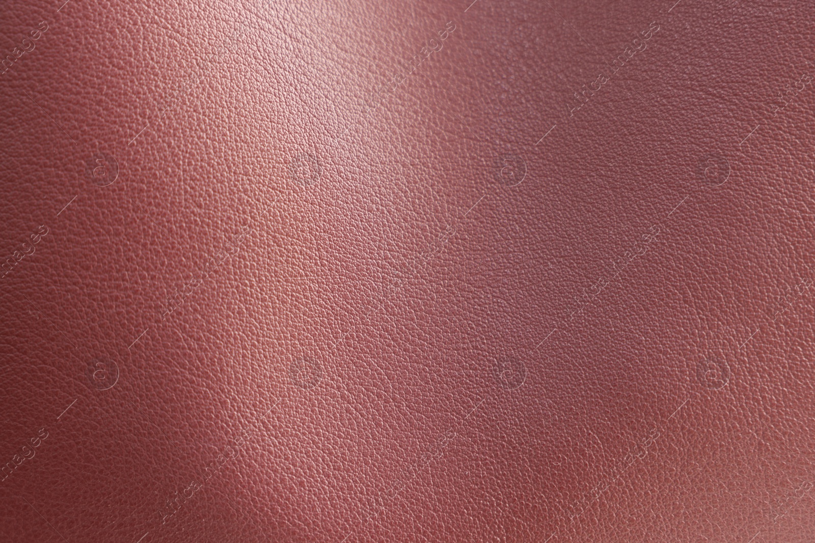 Photo of Texture of leather as background, closeup view