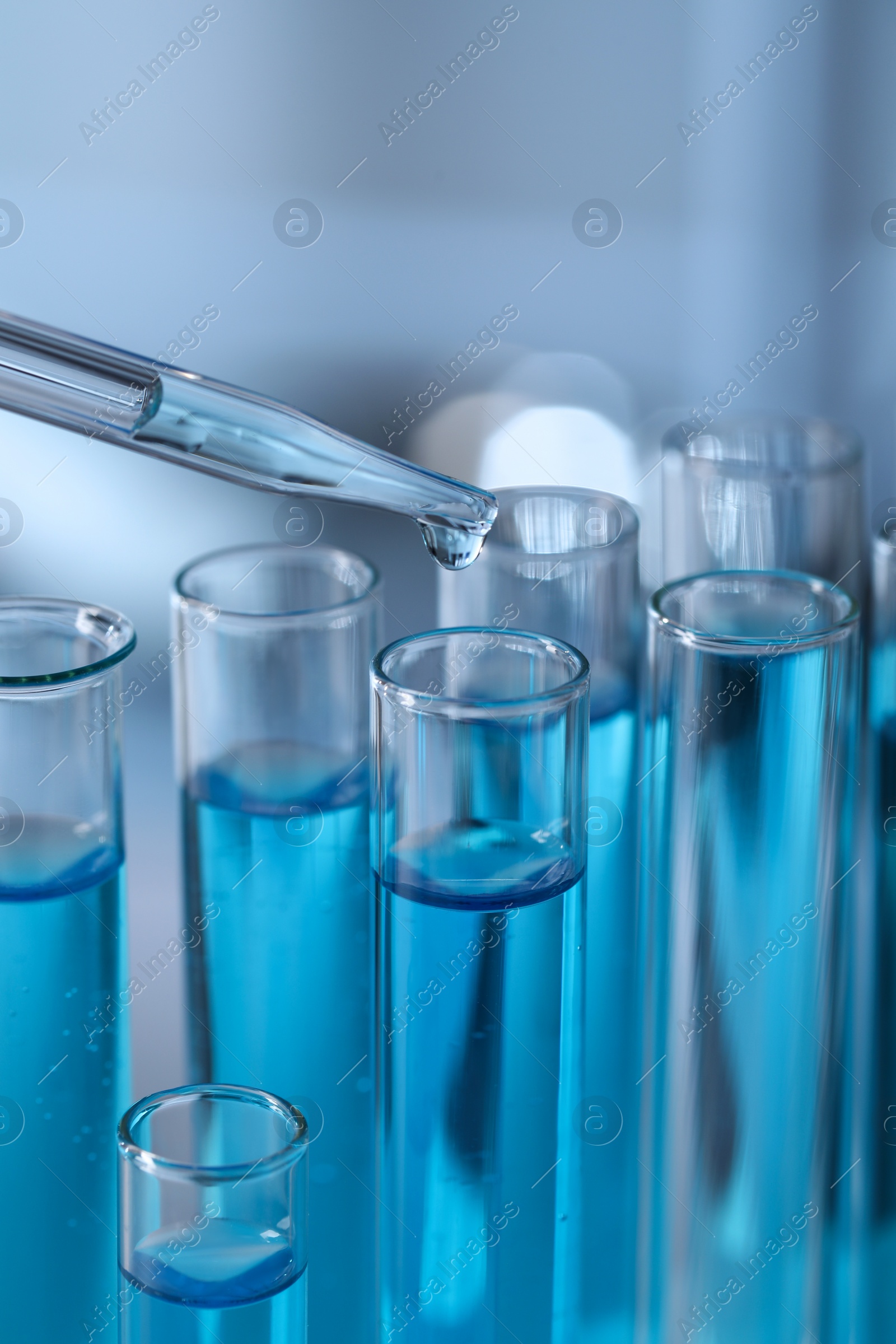 Photo of Dripping liquid from pipette into test tube in laboratory, closeup