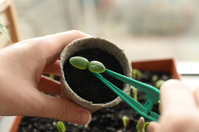 Photo of Woman taking care of seedling indoors, closeup