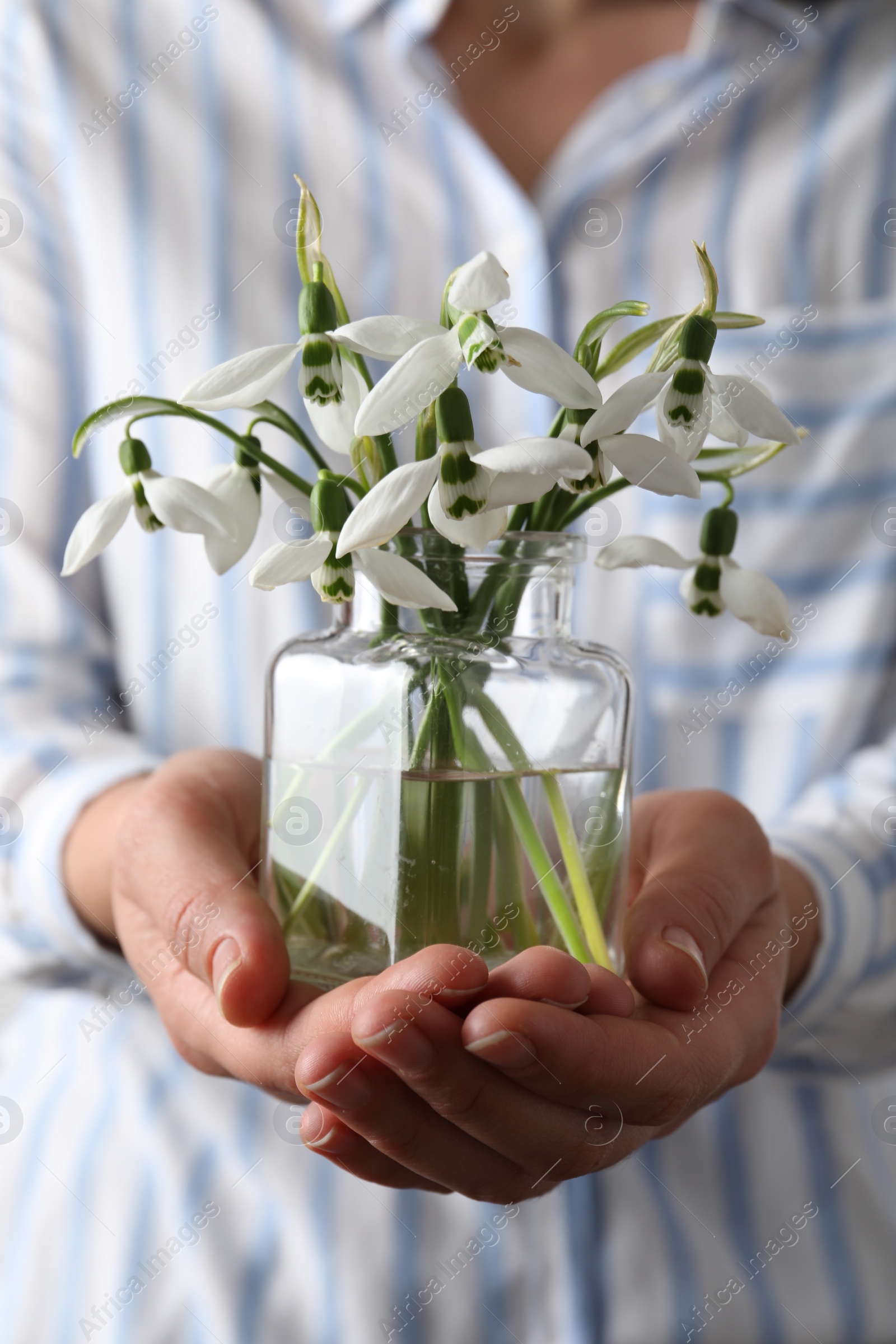 Photo of Woman holding glass jar with snowdrops, closeup