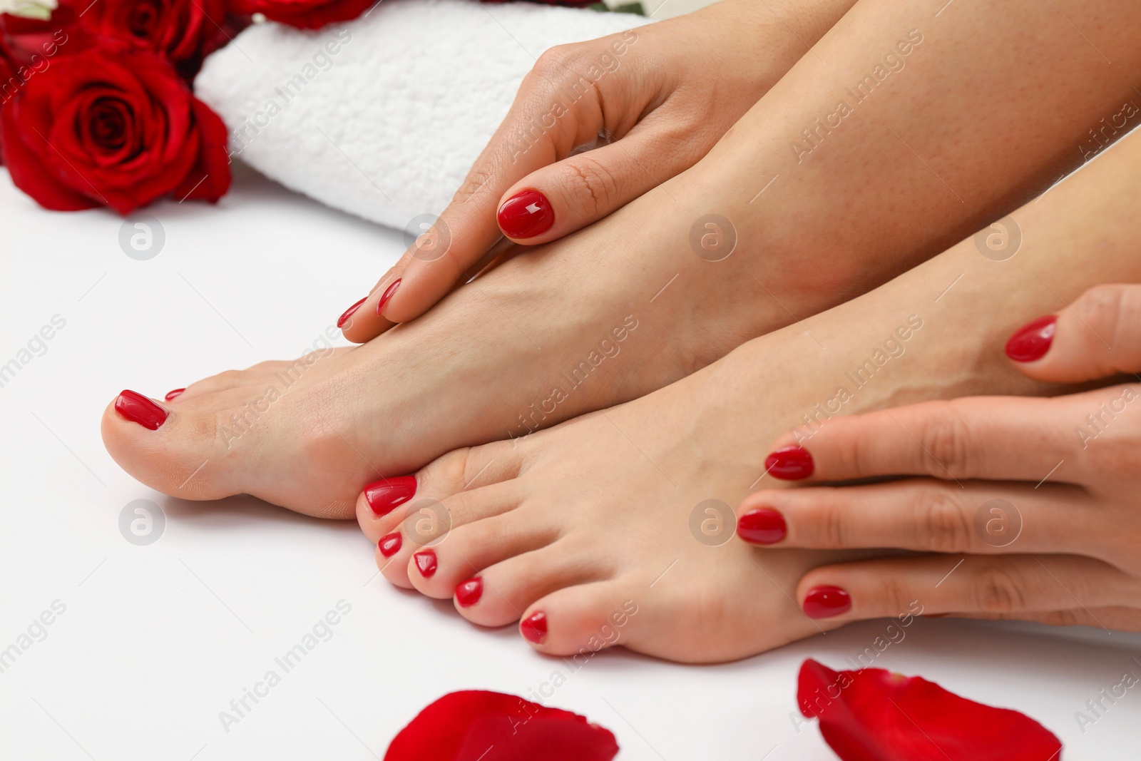 Photo of Woman with stylish red toenails after pedicure procedure and rose petals on white background, closeup