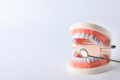Photo of Typodont teeth and dentist mirror on white background. Space for text