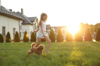 Photo of Beautiful girl walking with cute Maltipoo dog on green lawn at sunset in backyard