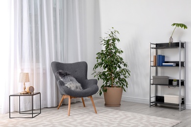 Photo of Stylish room interior with armchair and potted ficus