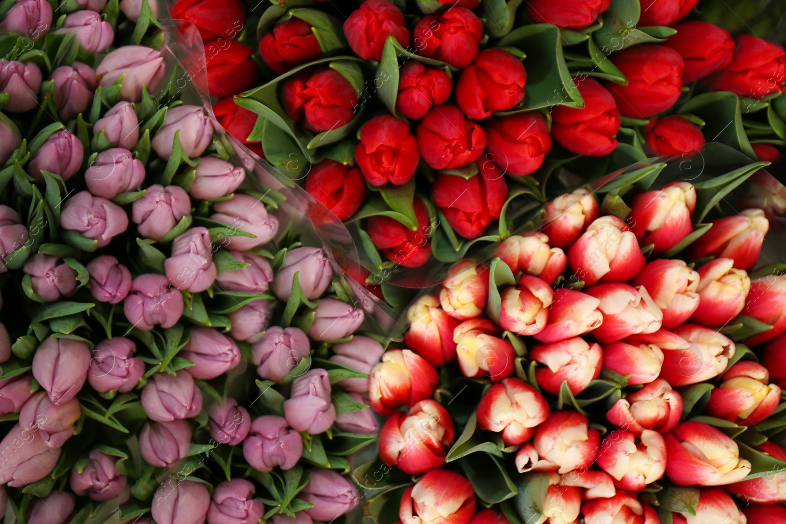 Photo of Fresh colorful bouquets with tulip flowers, top view