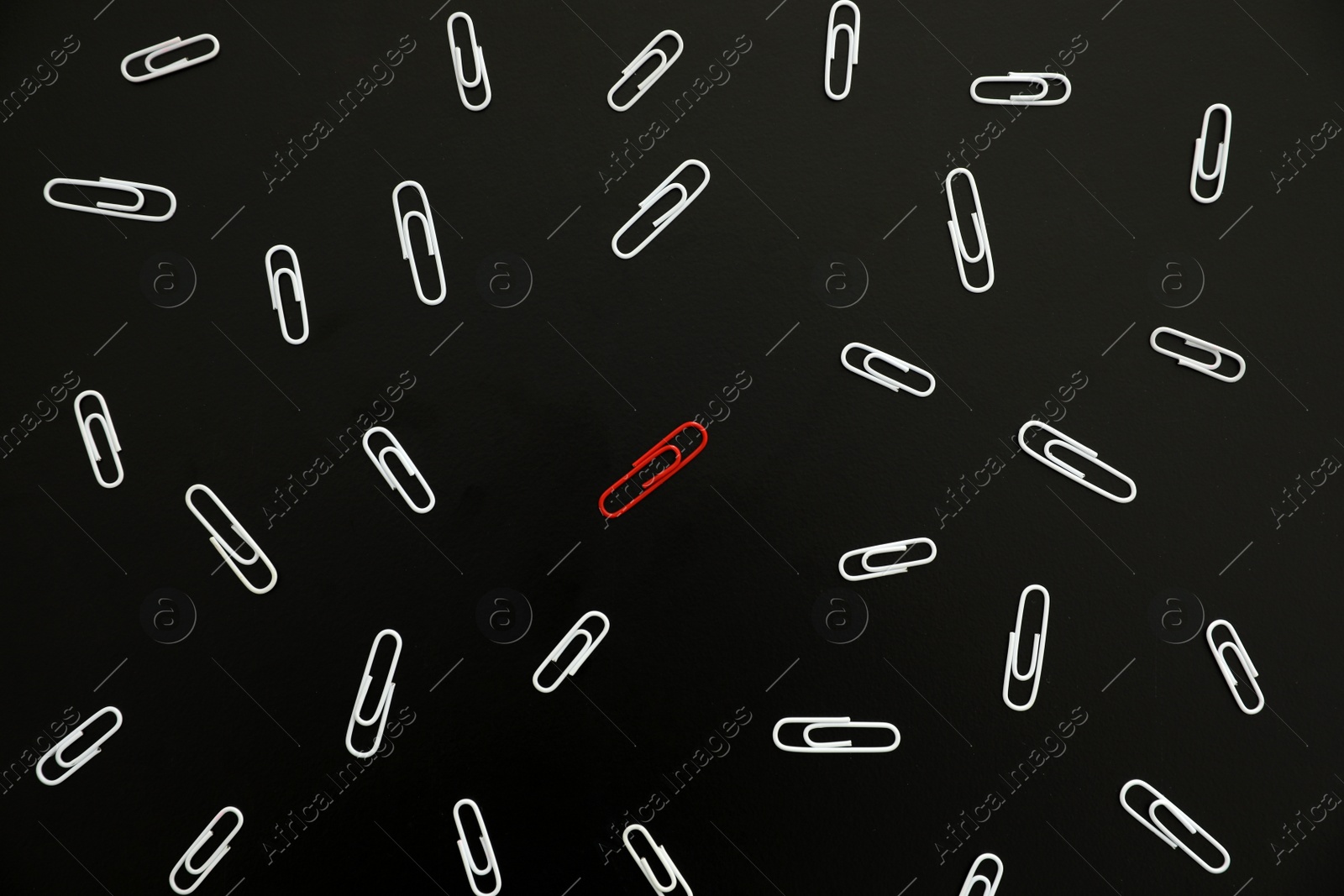 Photo of White paper clips and red one on black background, flat lay