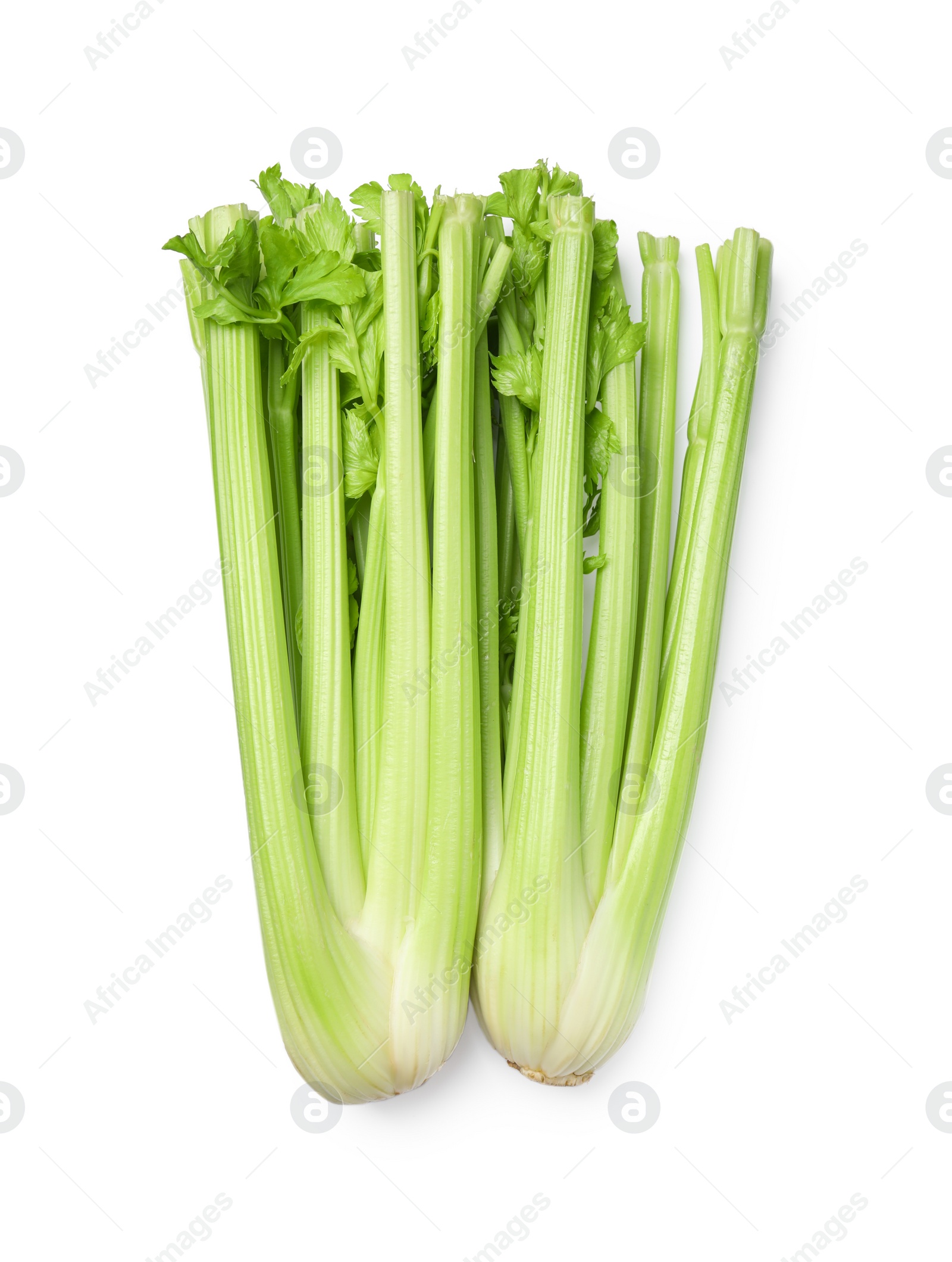 Photo of Fresh green celery bunches isolated on white, top view