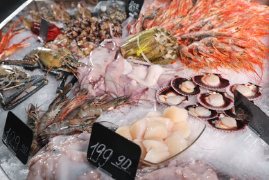 Photo of Fresh seafood on display with ice. Wholesale market